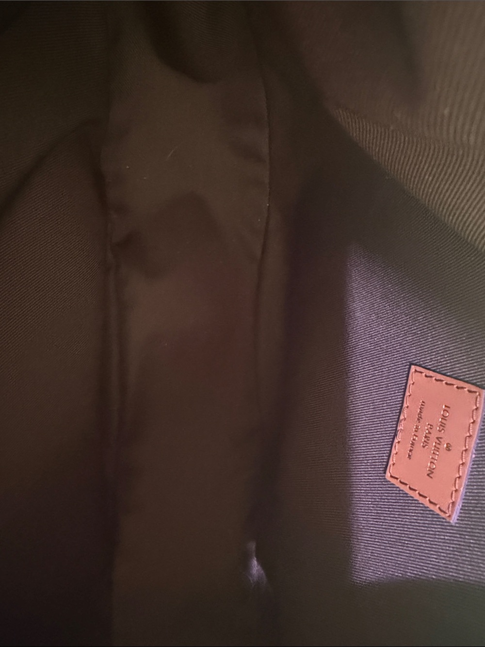 Louis Vuitton Loop Hobo in Monogram - Picture 16 of 16